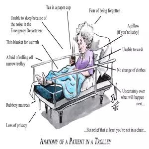 Anatomy of a Patient in a Trolley